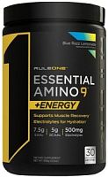R1 Essential Amino 9 + Energy,   345 gr.